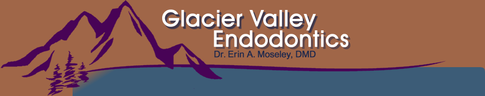 Glacier Valley Endodontics
